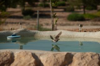 אוטובוס בכרם - 7