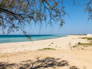 Appartamento piano terra LA NINA - 9