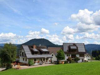 Löcherhansenhof - Bad Peterstal-Griesbach - 7