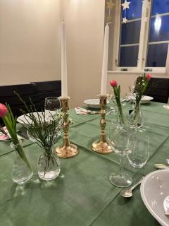 Farm under the stars - 5