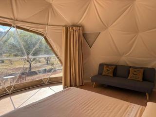 Casa Rural Glamping San Benito - 9