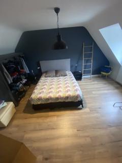 Maison familiale avec jardin Saint-Malo - 8