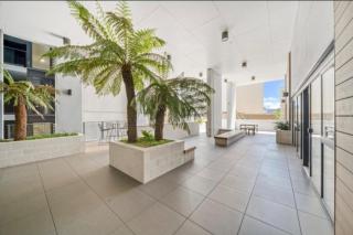 one bedroom apartment CBD Casino shopping center free P - 9