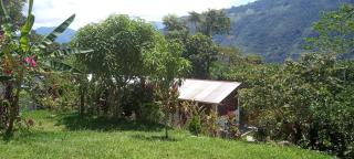 Fundo La Bonita -Palmapampa - 5