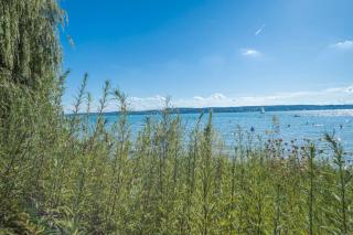 Tiny Haus 2 - Feige - 1