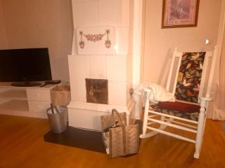 Rotes Schwedenhaus für Familien und Hunde - 4