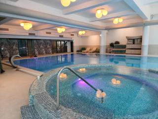 Elma Studio Sinaia - spa si piscina contra cost - 8