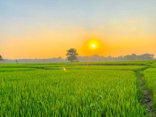 White Shine Hotel - 8