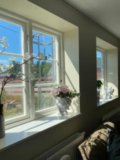 Farm under the stars - 1