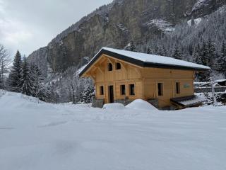 Le Gypaete, Prodains, Morzine - 0
