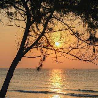 Tropical eglamping Mũi Né - 3