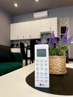 Apartamenty 7 Kamienic 29 lok 2A vis a vis Jasnej Góry - 3