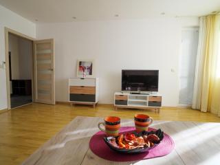 Apartment with an amazing view - near Bansko - 6