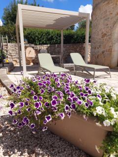 Torre Carperi in Valle d'Itria - 7