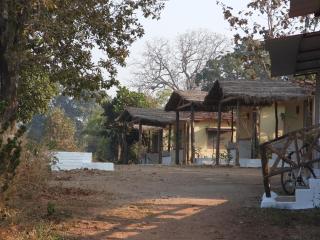 Home in the Jungle - 8