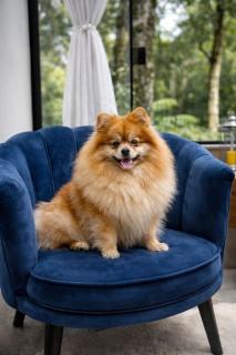 Loft Exclusivo Gramado - Gramado - 6