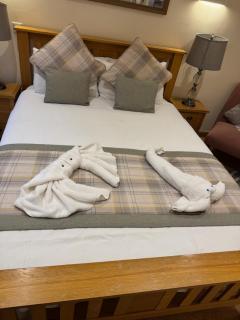 Waverley Inn Holiday Apartments - 0