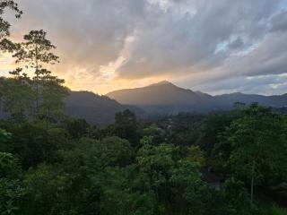 Highgarden Hideaway Villa - Gampola - 4