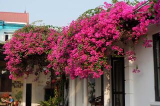 Nha Xanh Homestay - 2