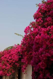 Nha Xanh Homestay - 3