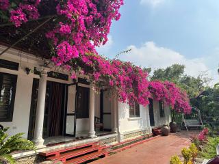 Nha Xanh Homestay - 5