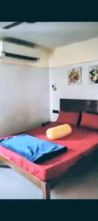 Paradise Farm Alibaug - 5