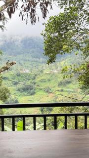 Bluebell Cottage - 6