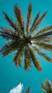 The Sanctuary Wellness Resort - 8