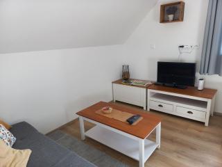 Apartmán Levandule Krušné hory - Erzgebirge - 5