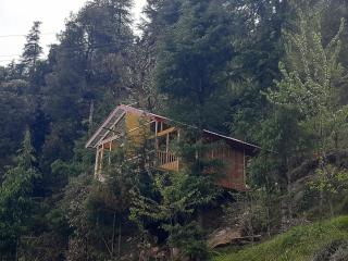 Jalori View Log House Jibhi - 9