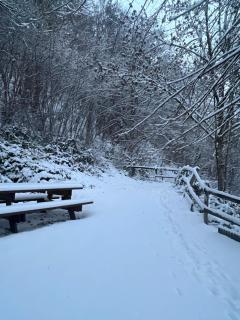 Gite à la ferme au coeur de l'Auvergne - 9