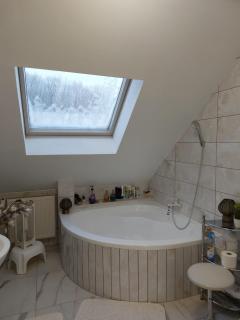 Green Dream Apartment 4 persons free sauna - 1