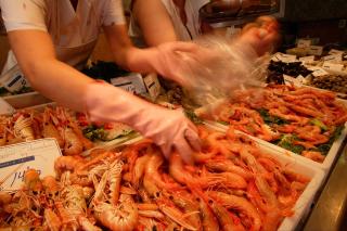 apartamento Kottmann - 7