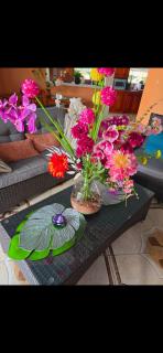 Versha's paradise - 2