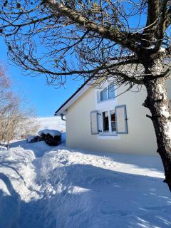 Ferienhaus mit Bergblick & sonniger Terrasse im Feriendorf Reichenbach - G26b - 1