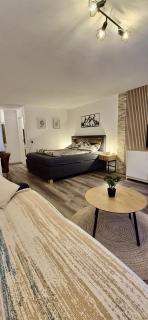 Mountain Holiday Leukerbad Free Parking and WiFi Playroom - 7