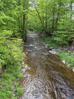 Live The Outdoors - 0