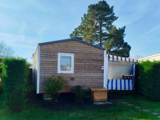 Mobile home - 3 bedrooms - Cc718 Les Charmettes 4 stars - 0