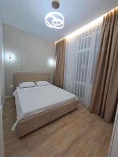 Новые апартаменты возле Barys Arena, Туран 55,5 - 0