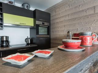 Duplex rénové avec balcon, skis aux pieds, animaux acceptés - FR-1-502-466 - 1