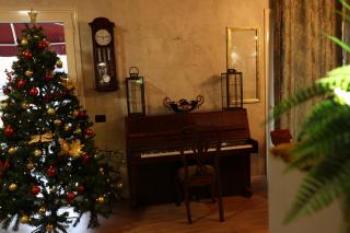 SMALL Boutique & Garden - 3