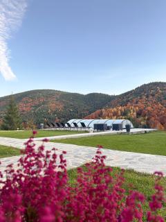 A Frames By Pensiunea Merișor - 1