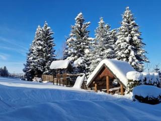 Domek - Apartament przy Kominku - Zakopane - 5