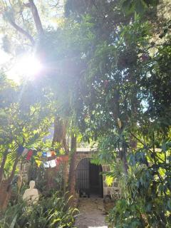 Monk Room Casa Jardín Downtown San Marcos - 5