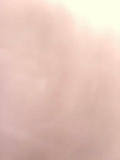 Cottage guest house - 5