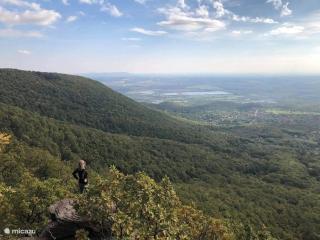 Villa Forest, silene and stars - 7