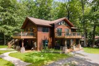 Dragonfly, Gems & Dreams - 6