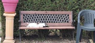 Notre Doux Logis - 8