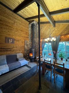 Mountain Cabin at Heavenly - 7