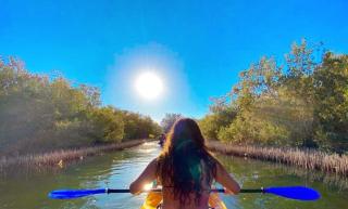 Dagal Camp - دجل كامب - 6